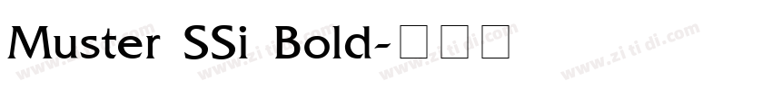 Muster SSi Bold字体转换